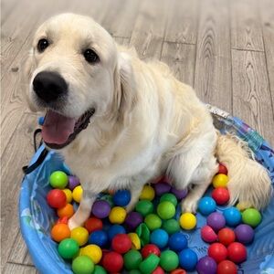 Meet your Posher, Brett